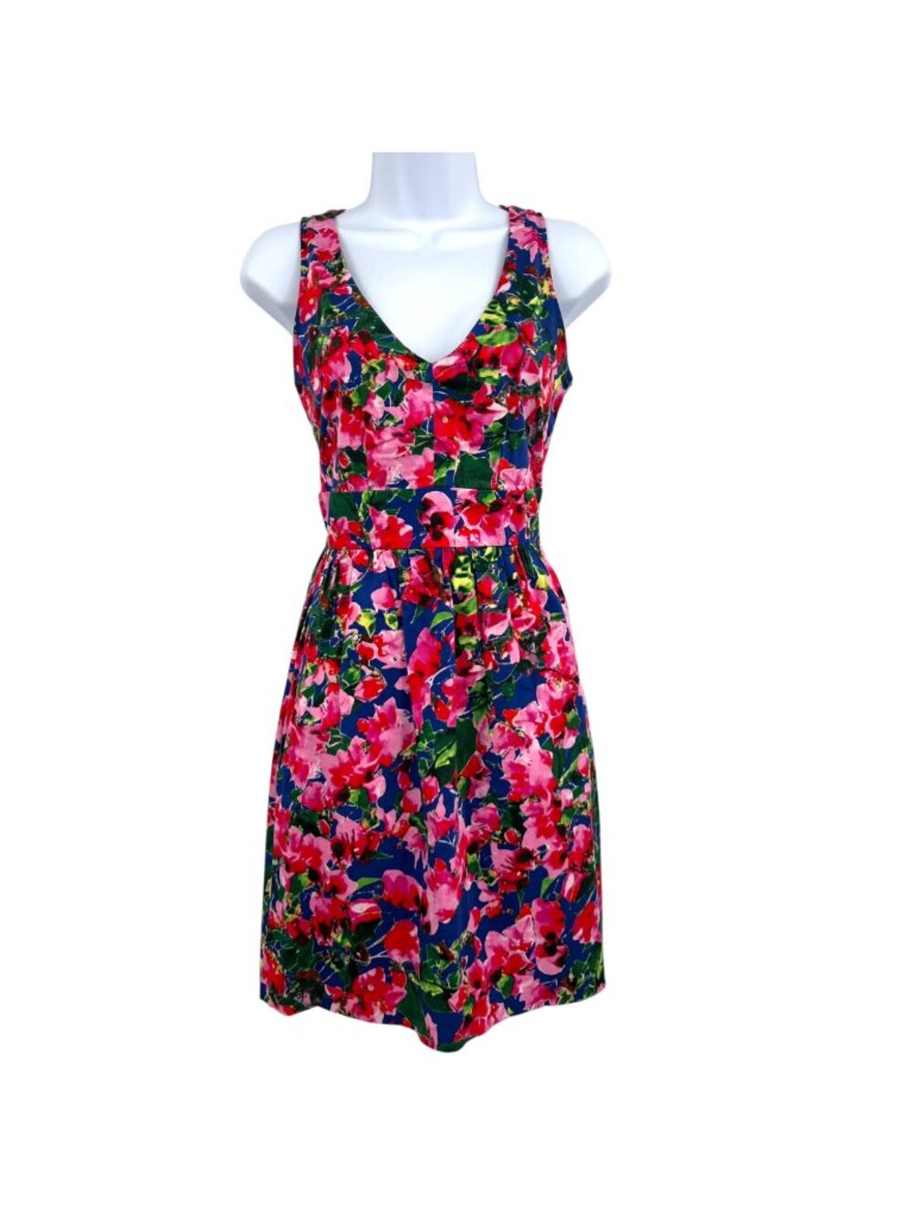 Milly Design Nation Floral Sleeveless V-Neck A-Line Mod Blue Pink Dress Size 2